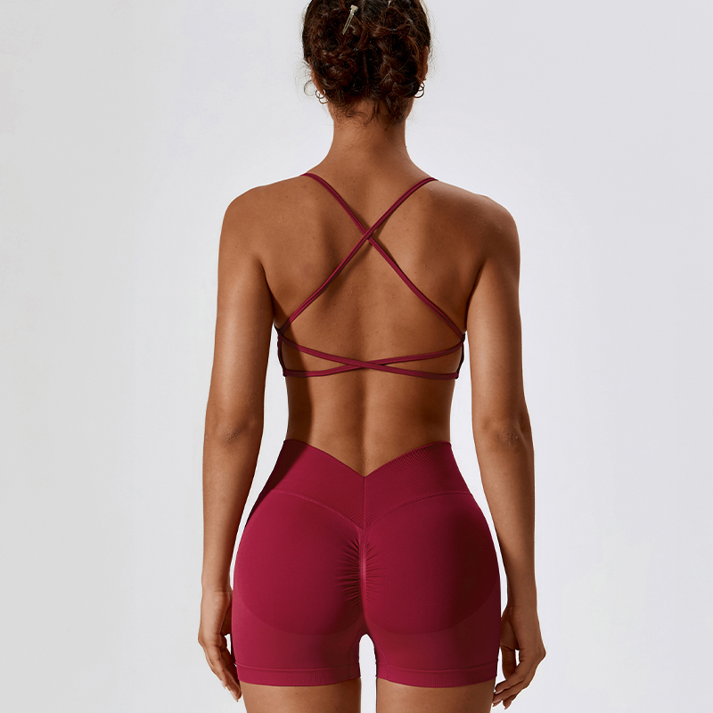 DANCEFISH 2023 Women Seamless  - đánh giá và giá Yoga Daily Fitness