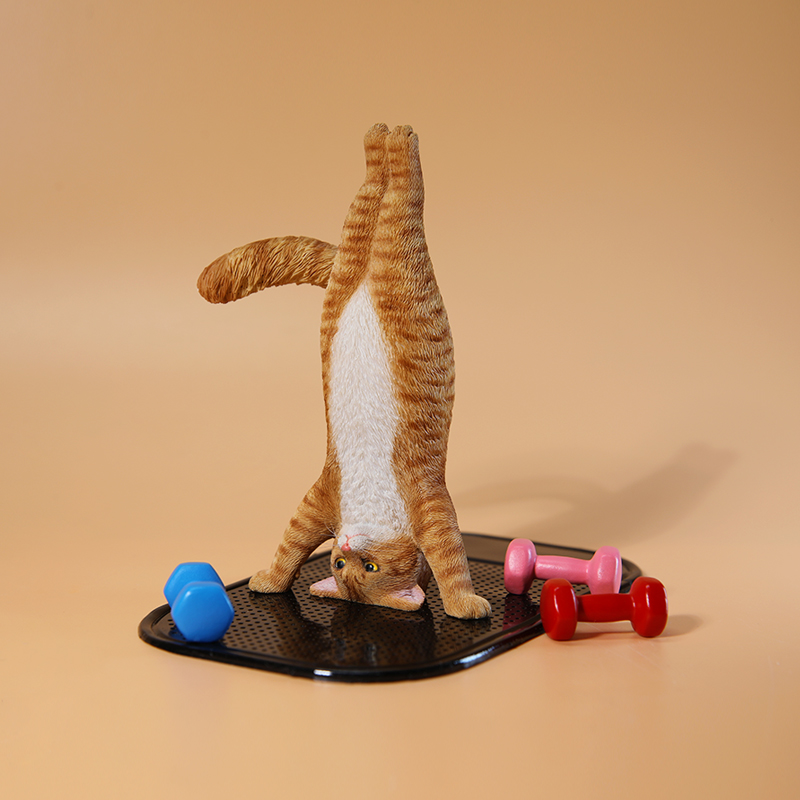 1/6 Scale Mini Simulated Fitne - đánh giá và giá Yoga In Fitness First